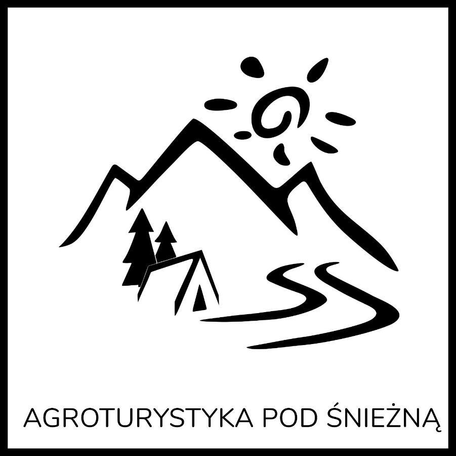 Agroturystyka Pod Sniezna Bystrzyca Klodzka Exterior photo